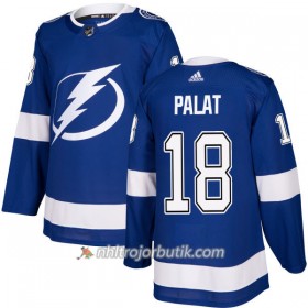 Män Ishockey Tampa Bay Lightning Tröja Ondrej Palat 18 Adidas 2017-2018 Blå Authentic